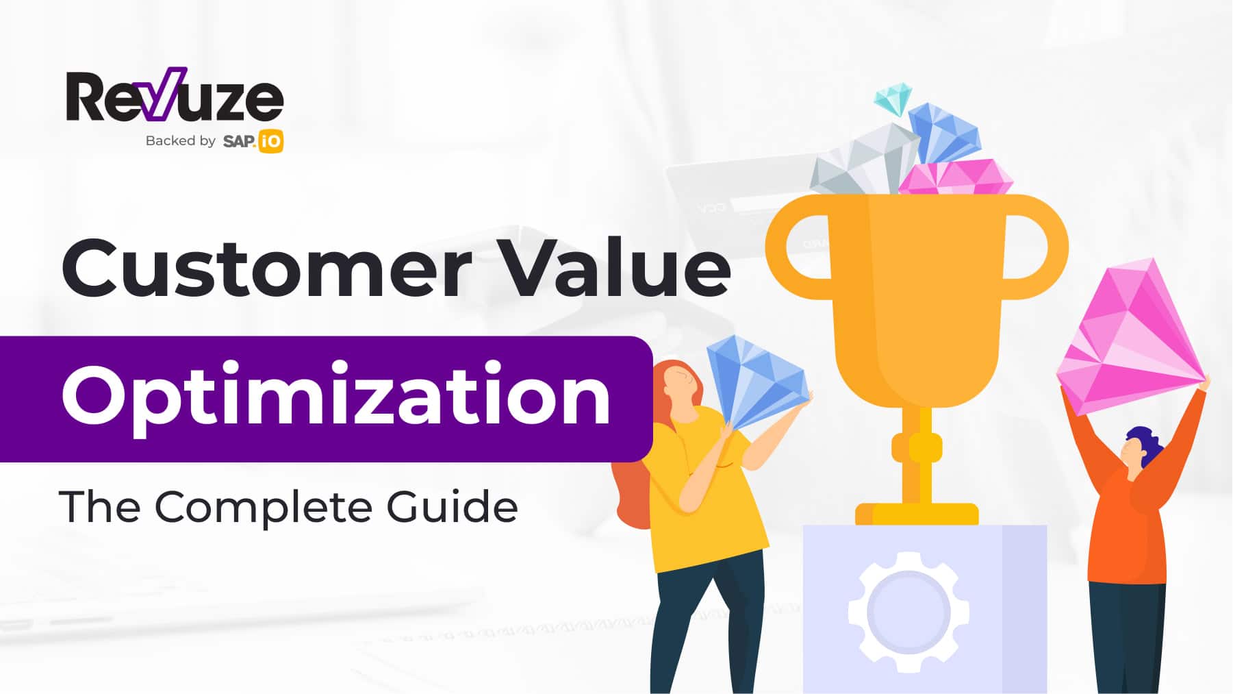 The Complete Guide to Customer Value Optimization (CVO)