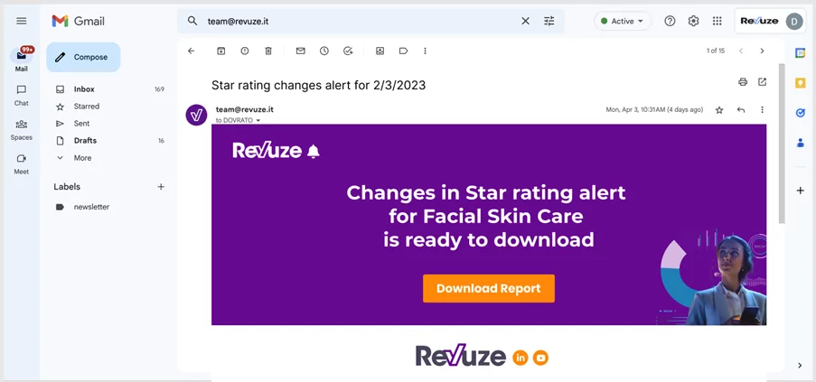 Revuze Alerts Report